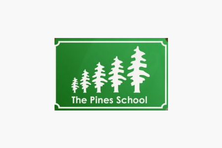 The Pines Primary School  Yrs 1-4  - NOT RECEPTION - After school Club (SCHOOL PUPILS ONLY)